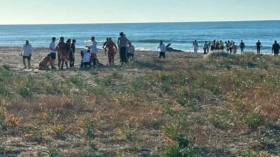 Sakarya’nın Kocaali ilçesinde bir baba ile kızının denizde akıntıya kapılarak