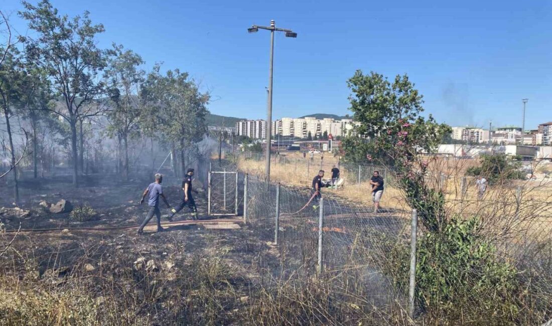 Körfez ilçesinde seyir halindeki saman yüklü bir tırın römorkunda çıkan