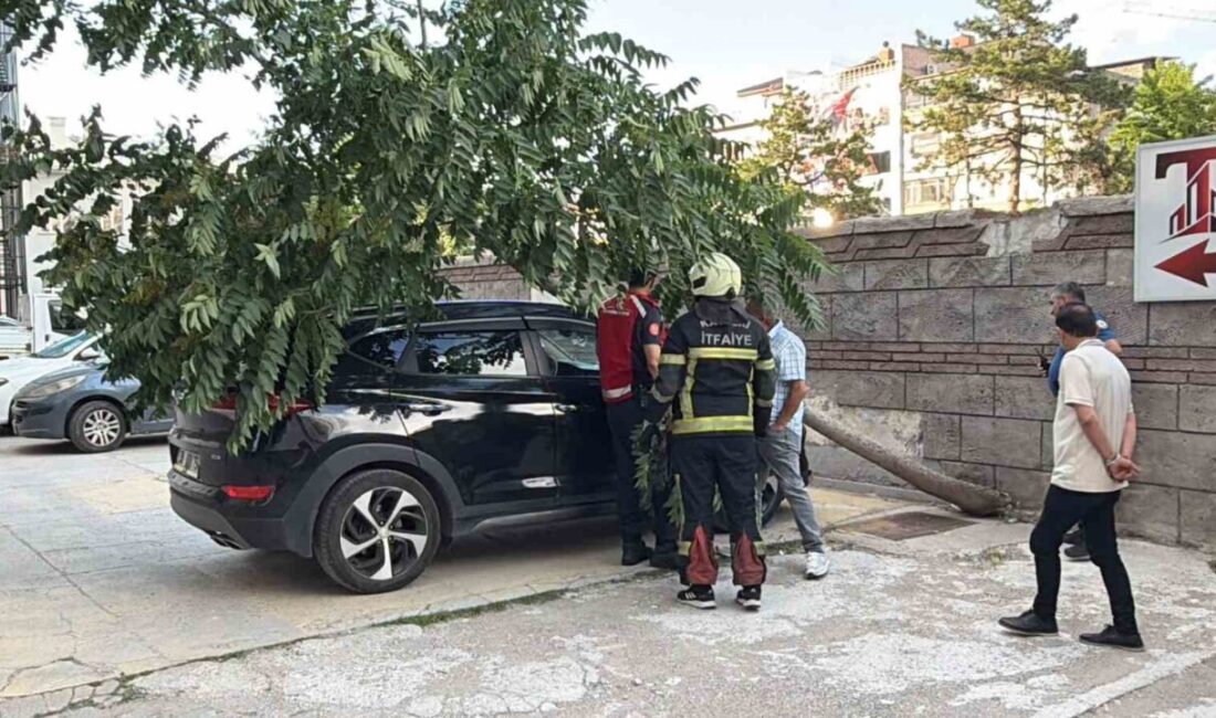 Kocasinan ilçesinde, Sahabiye Mahallesi İstasyon Caddesi üzerinde, bir SUV aracın