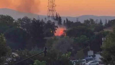 Bursa’da gerçekleştirilen Kültür Yolu Festivali’nin bitişiğindeki ağaçlık alanda meydana gelen