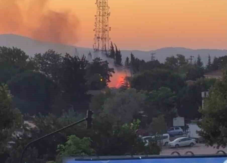 Bursa’da gerçekleştirilen Kültür Yolu Festivali’nin bitişiğindeki ağaçlık alanda meydana gelen