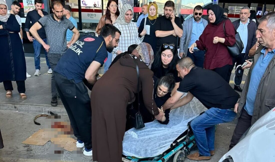 Elazığ’da bir köpeğin saldırısına uğrayarak yaralanan bir kadın, hastaneye kaldırılarak