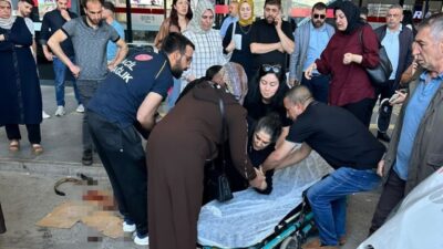 Elazığ’da bir köpeğin saldırısına uğrayarak yaralanan bir kadın, hastaneye kaldırılarak