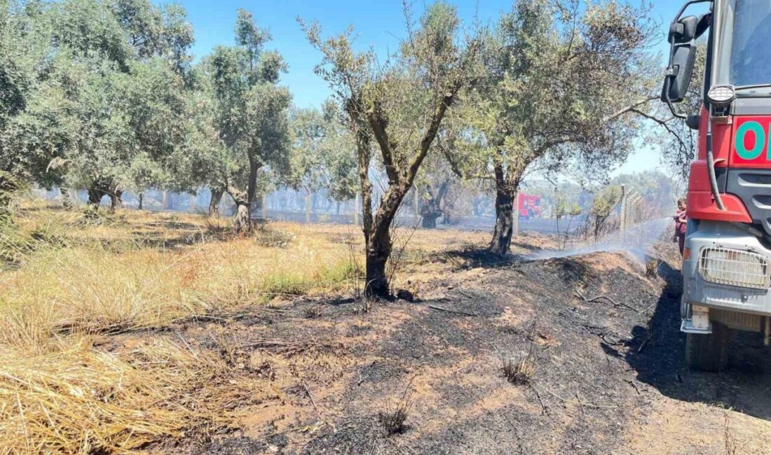 İzmir’in Bayındır ilçesinde, rüzgârın etkisiyle hızla yayılan yangın, itfaiye ve