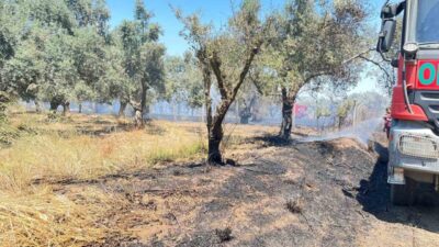 İzmir’in Bayındır ilçesinde, rüzgârın etkisiyle hızla yayılan yangın, itfaiye ve