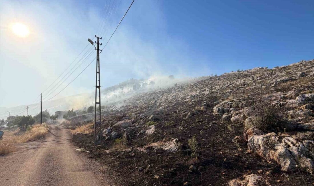 Adıyaman’da Ulubey Köyü yakınlarında çıkan anız yangını, hızla büyümeden evlere