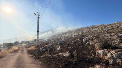Adıyaman’da Ulubey Köyü yakınlarında çıkan anız yangını, hızla büyümeden evlere