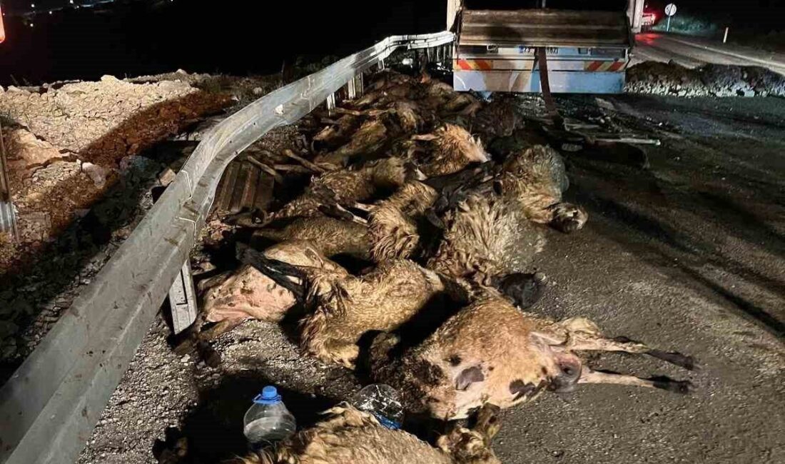 Erzincan’ın İliç ilçesinde meydana gelen trafik kazasında tırın devrilmesi sonucu