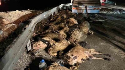 Erzincan’ın İliç ilçesinde meydana gelen trafik kazasında tırın devrilmesi sonucu