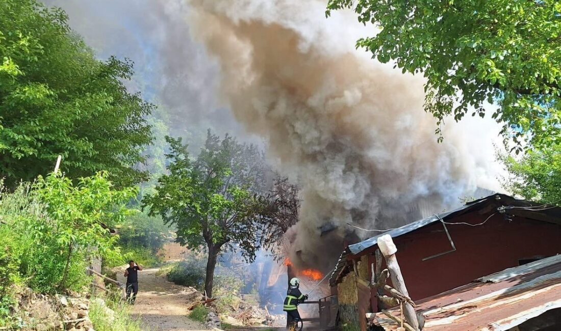 Kozan ilçesine bağlı bir yayla evinde başlayan yangın, kısa sürede