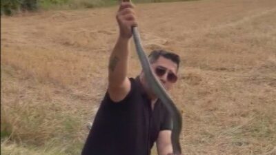 Hatay’ın Payas ilçesine bağlı Fatih Mahallesi’nde yaşayan bir kişiye ait