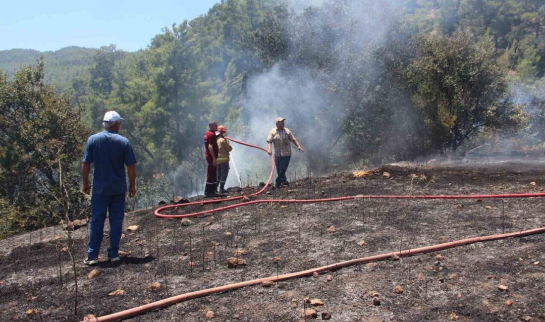 Antalya’nın Kumluca ilçesine bağlı Güzören Mahallesi’nde otluk ve makilik alanda