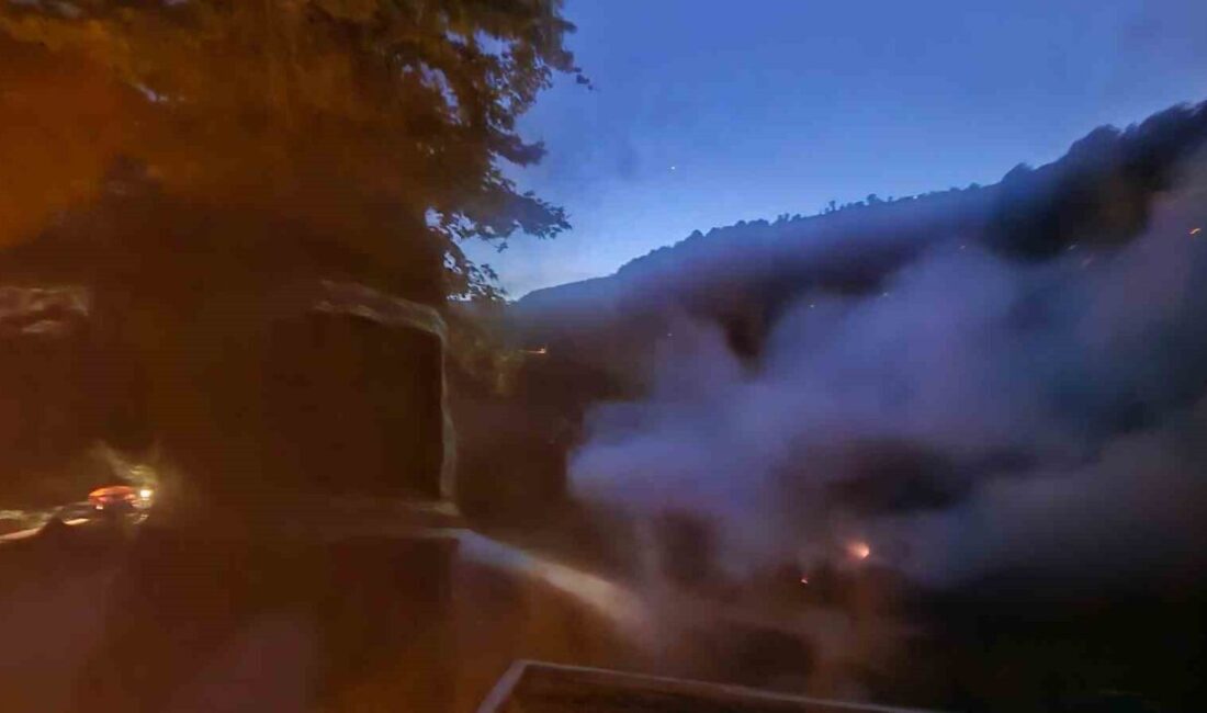 Bartın’ın Ulus ilçesine bağlı Kumluca beldesinde, otluk alanda başlayan yangın