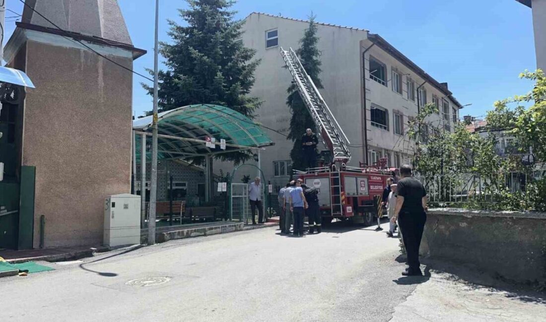 Kütahya’nın Bahçelievler Mahallesi’ndeki Nuruosmaniye Camii bahçesinde, bir serçe, ayağına dolanan