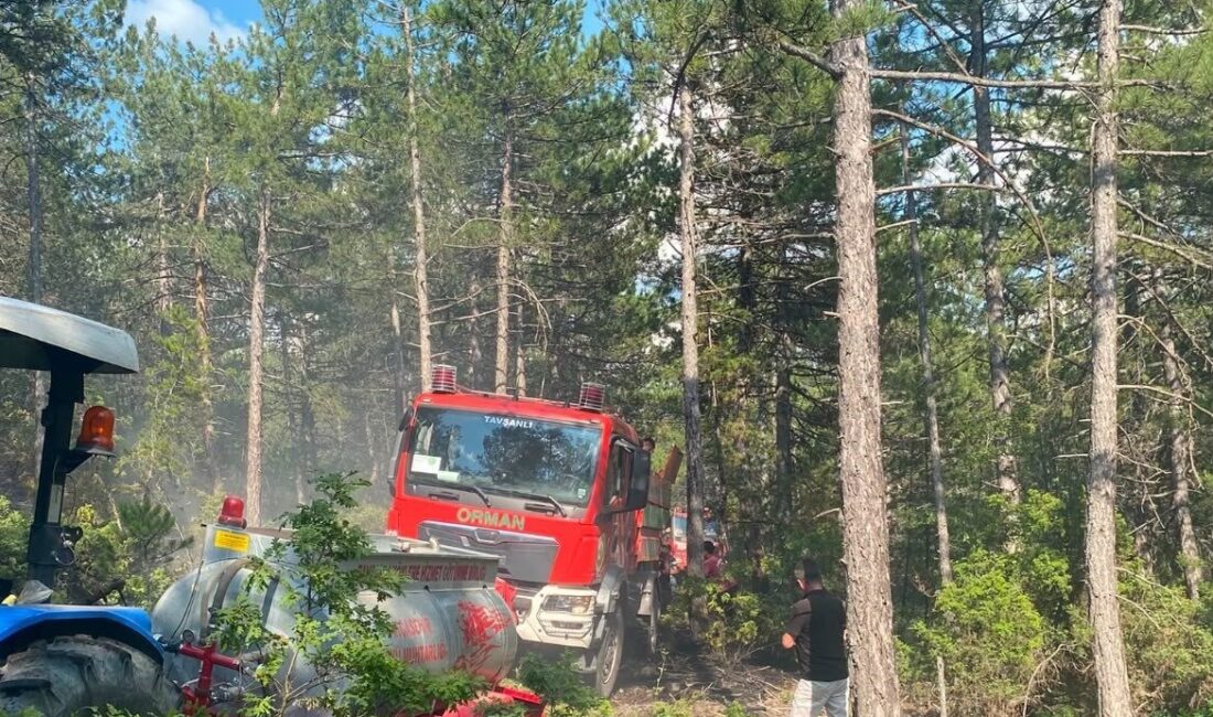 Kütahya’nın Tavşanlı ilçesinde, Akçaköy yakınlarındaki Tepe mevkiinde yıldırım düşmesi sonucu