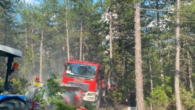 Kütahya’nın Tavşanlı ilçesinde, Akçaköy yakınlarındaki Tepe mevkiinde yıldırım düşmesi sonucu