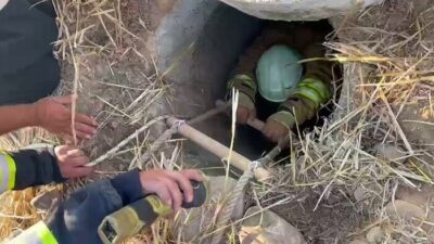 Hassa ilçesinde bir su kuyusuna düşen 2 koyun, itfaiye ekiplerinin