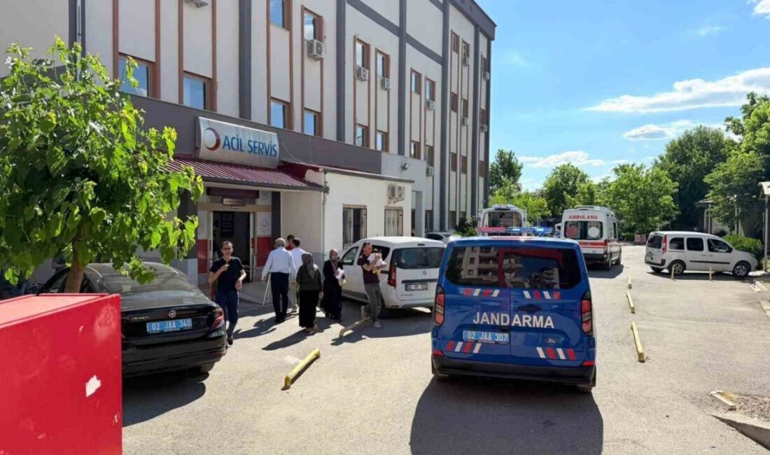 Kahta ilçesinde bir kişi, kuzeni tarafından silahla yaralandı. Olay, Cendere