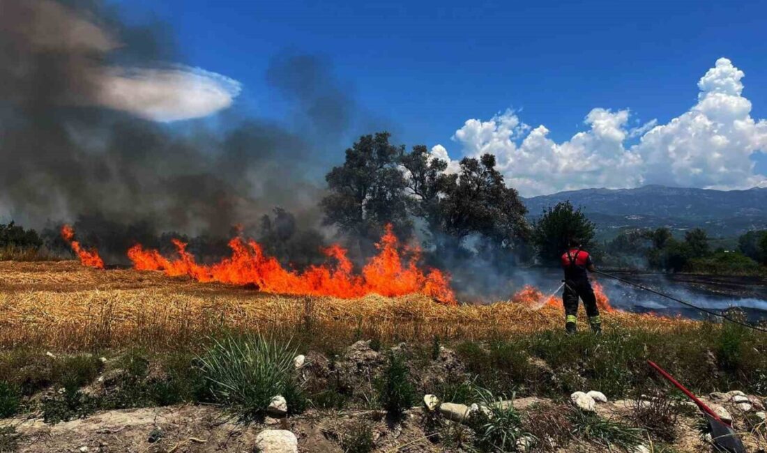 Muğla’nın Ortaca ilçesine bağlı Çaylı Mahallesi’nde meydana gelen ot yangını,