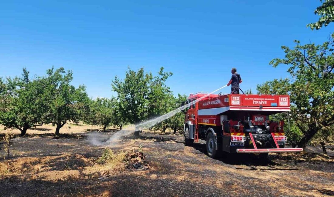 Malatya’nın Doğanyol, Pütürge, Kale, Hekimhan ve Darende ilçeleri ile Hasırcılar,