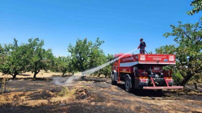 Malatya’nın Doğanyol, Pütürge, Kale, Hekimhan ve Darende ilçeleri ile Hasırcılar,