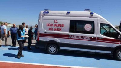 Malatya’nın Battalgazi ilçesinde yer alan Orduzu Göleti’nde su yüzeyinde hareketsiz