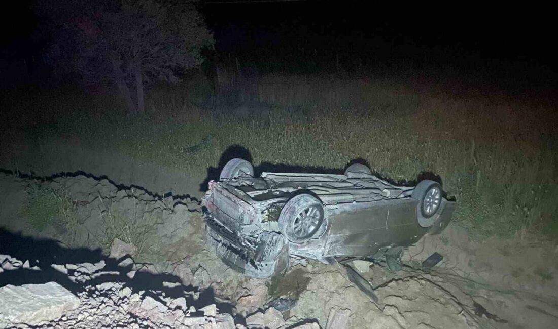 Manisa’nın Gördes ilçesinde, otomobilin şoförünün kontrolünü yitirmesi sonucu meydana gelen