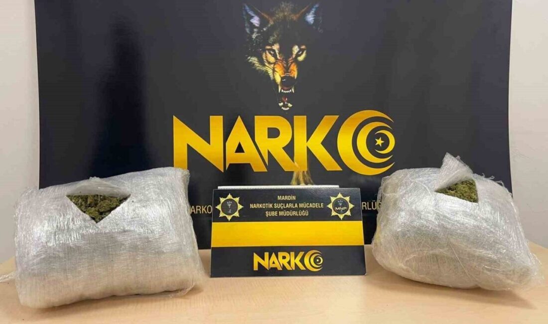 Mardin’in Artuklu ilçesinde gerçekleştirilen polis operasyonunda 2 kilo 950 gram