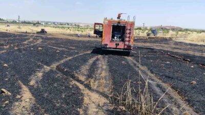 Kızıltepe ilçesine bağlı Dikmen Mahallesi’nde bir buğday tarlasında meydana gelen