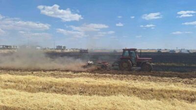 Mardin Kızıltepe ilçesindeki bir yangında yaklaşık 80 dönüm buğday ekili