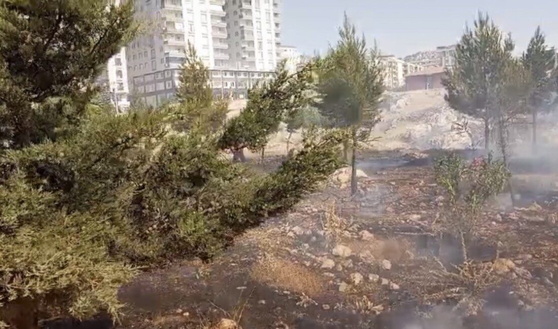 Mardin’in farklı ilçelerinde meydana gelen tarla ve mera yangınlarına müdahale