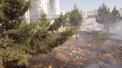 Mardin’in farklı ilçelerinde meydana gelen tarla ve mera yangınlarına müdahale