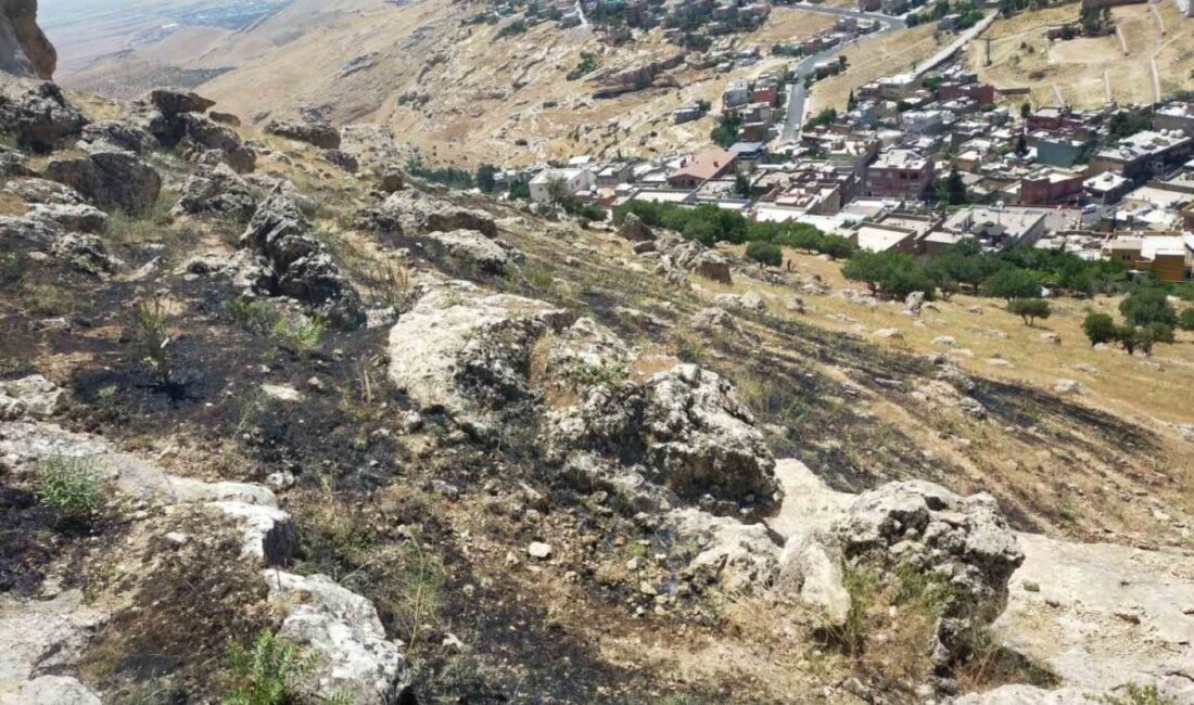 Mardin’in Yeşilli ilçesine bağlı kırsal alanda çıkan yangın, itfaiye ekipleri
