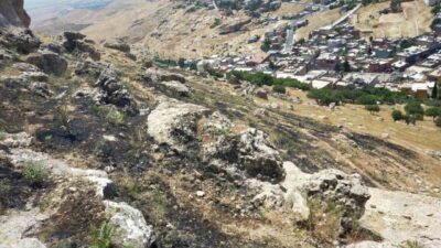 Mardin’in Yeşilli ilçesine bağlı kırsal alanda çıkan yangın, itfaiye ekipleri