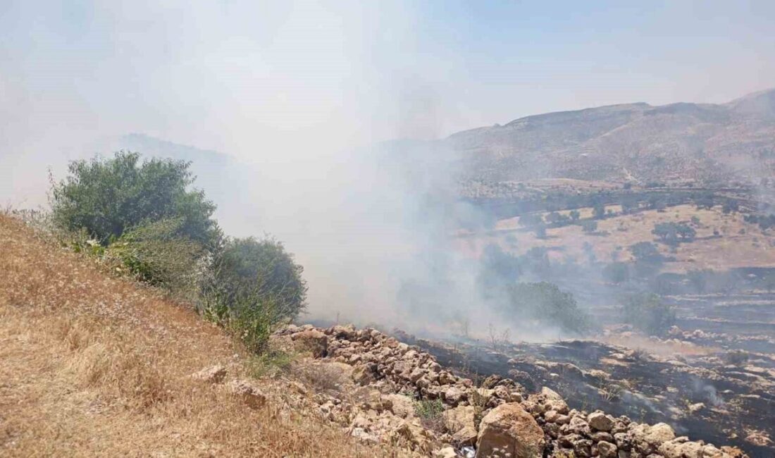 Mardin’in Yeşilli ilçesinin kırsalında meydana gelen orman yangınına müdahale ediliyor.