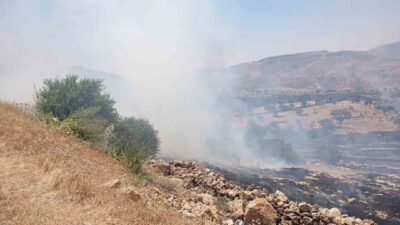Mardin’in Yeşilli ilçesinin kırsalında meydana gelen orman yangınına müdahale ediliyor.