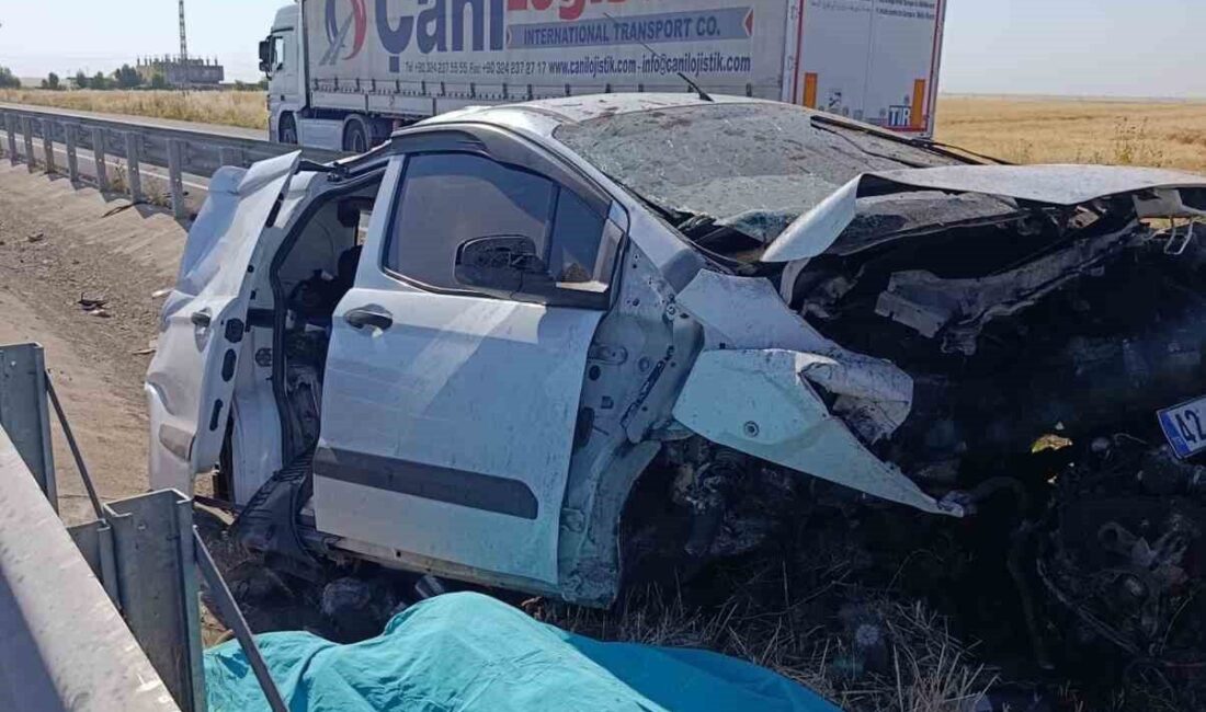 Mardin’in Nusaybin ilçesinde meydana gelen trafik kazasında 1 kişi hayatını