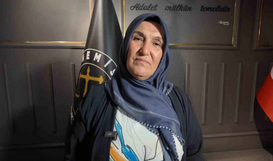 Mardin’de 2024 yılında gelini tarafından darbedilip ardından otomobille çarptığını iddia