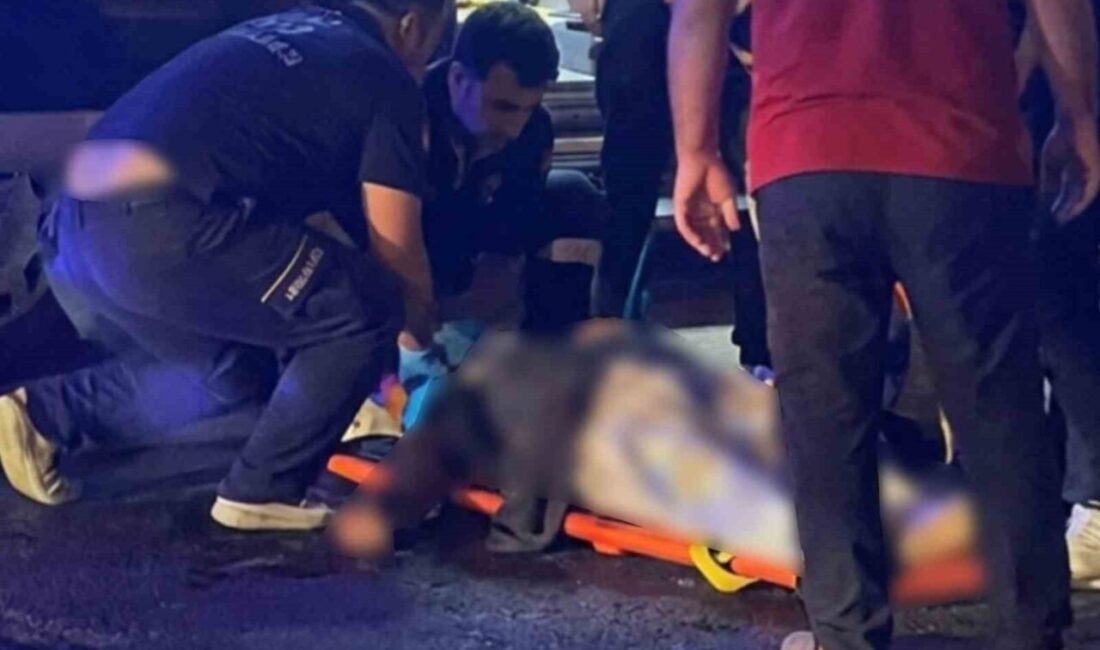 Mardin’in Kızıltepe ilçesinde, otomobilin çarpması sonucu yaşlı bir kadın hayatını