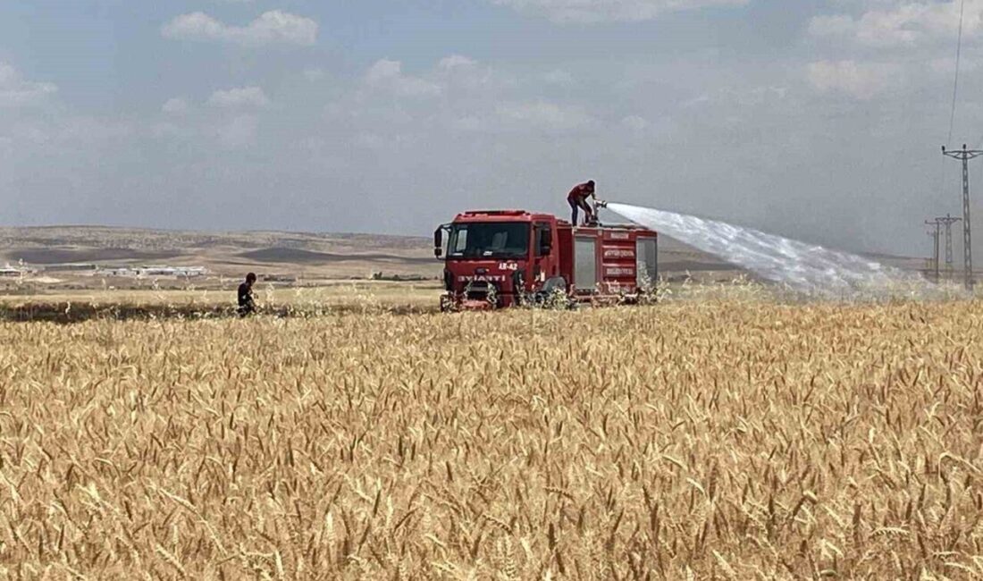 Mardin’in Artuklu ilçesindeki Çatak Mahallesi’nde, henüz belirlenemeyen bir nedenle buğday