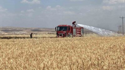 Mardin’in Artuklu ilçesindeki Çatak Mahallesi’nde, henüz belirlenemeyen bir nedenle buğday