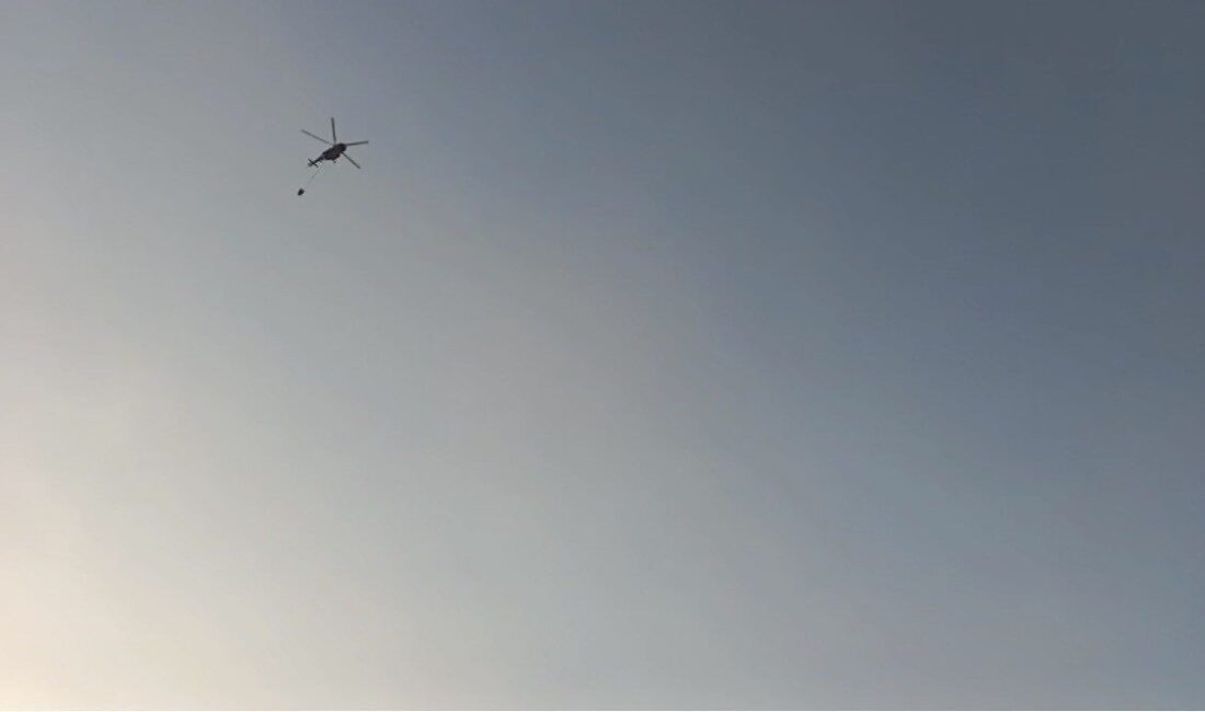 Kızıltepe ilçesinde başlayan örtü yangını kontrol altına alındı. Damlalı ve