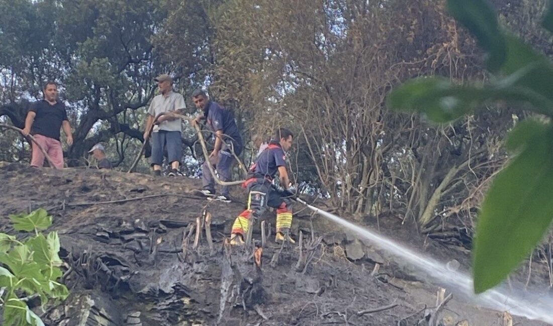 Balıkesir’in Marmara ilçesinde kuru otların alev almasıyla başlayan yangın, itfaiye
