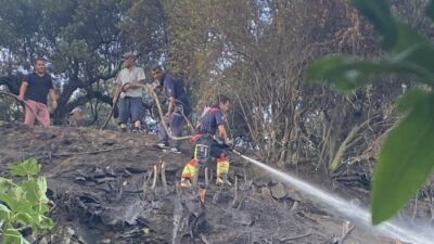 Balıkesir’in Marmara ilçesinde kuru otların alev almasıyla başlayan yangın, itfaiye