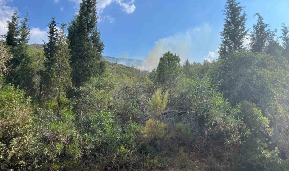 Muğla’nın Marmaris ilçesinde meydana gelen orman yangınına yıldırımın sebep olduğu