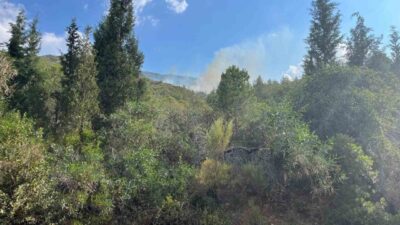 Muğla’nın Marmaris ilçesinde meydana gelen orman yangınına yıldırımın sebep olduğu