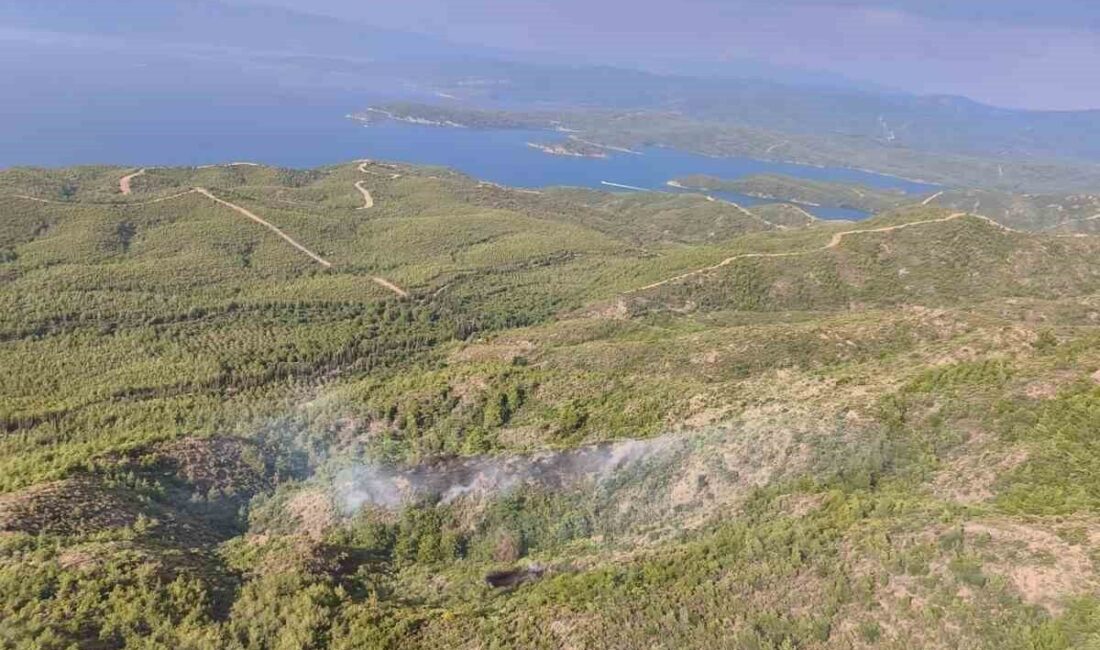 Muğla’nın Marmaris ilçesinde meydana gelen orman yangını, yıldırım düşmesi sonucunda