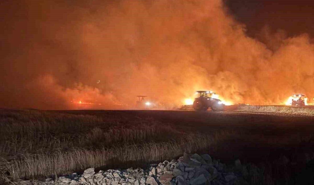 Mardin’in Mazıdağı ilçesinde dün gece meydana gelen yangında, buğday ve