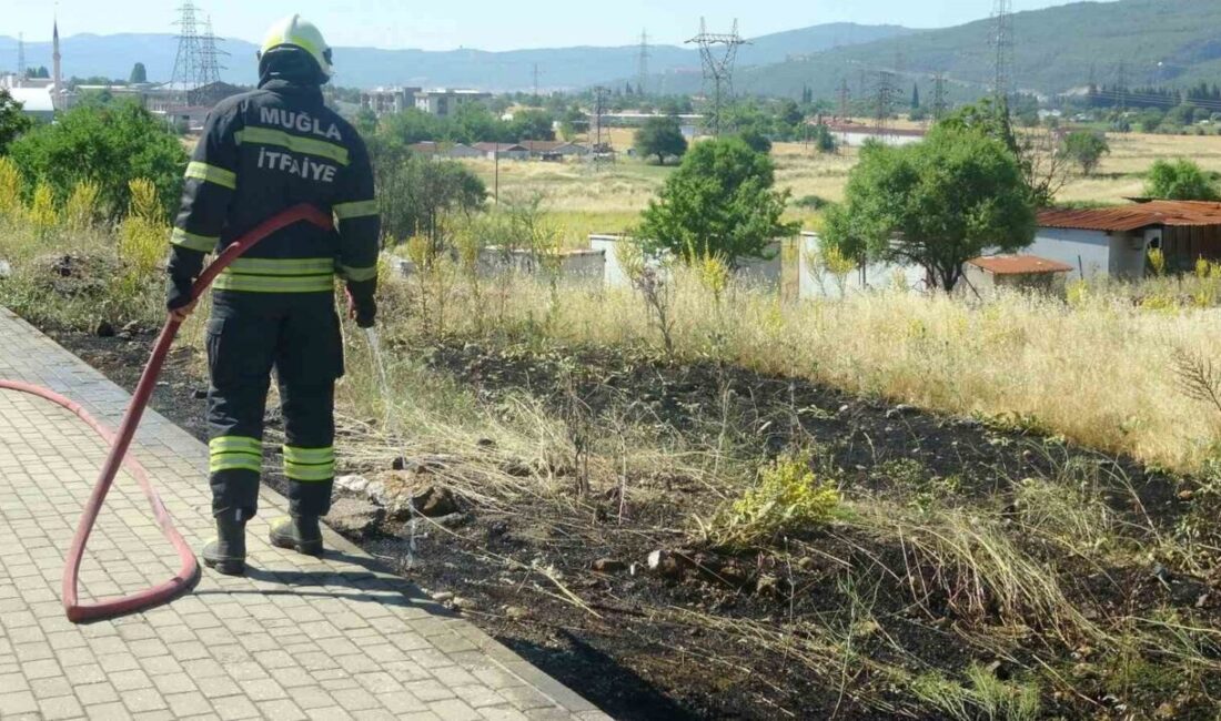 Muğla’nın Menteşe ilçesinde, Atatürk Bulvarı üzerinde yol kenarına atılan bir