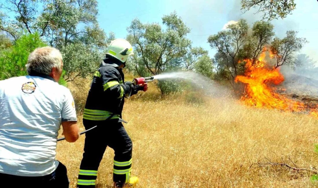 Muğla’nın Menteşe ilçesinde zeytinlik alanda çıkan yangın, hızlı ve koordineli